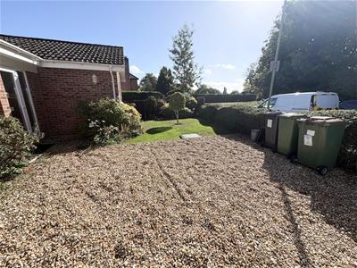 Picture 20